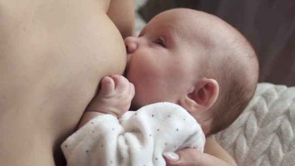 Concept of lactation infant. Mother feeding Newborn. Baby eating milk - Footage, Video