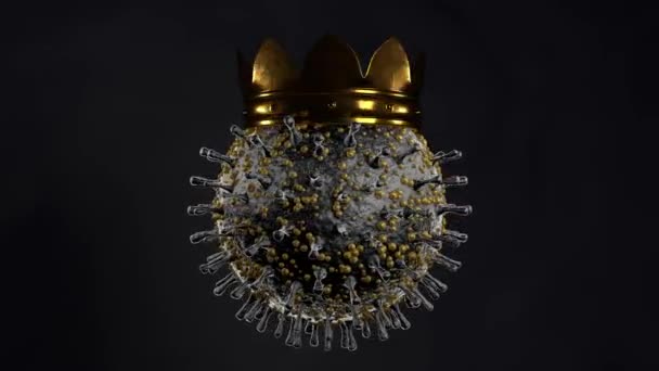 3D płynna animacja czarnego koronawirusa ze złotą koroną. Animacja 4K do kompozycji medycznych i banerów informacyjnych. - Materiał filmowy, wideo