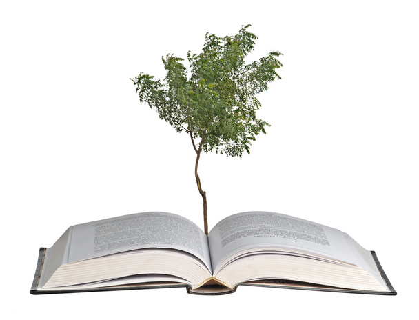 Дерево, що росте з відкритої книги
 - Фото, зображення