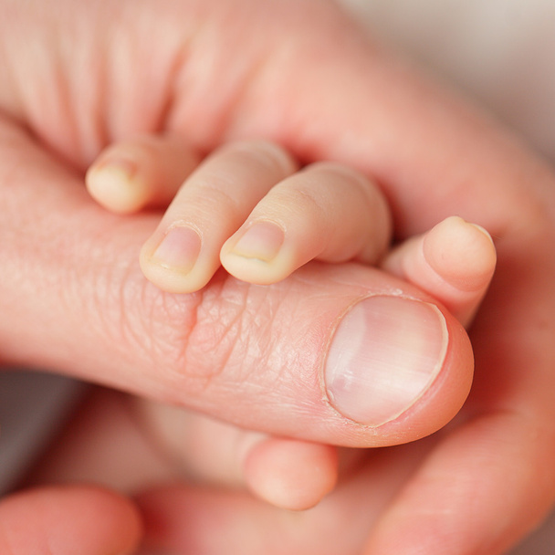 baba és szülő kezek - Fotó, kép