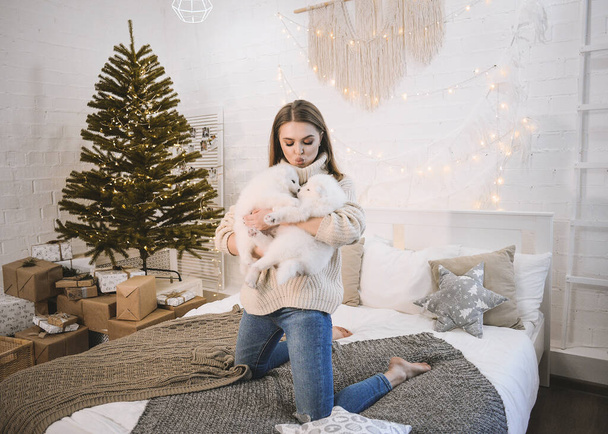 a beautiful young girl is at home playing with small white fluffy Samoyed husky puppies. It is located in the kitchen, on the bed and near the Christmas tree. Everything is decorated for Christmas. The girl laughs by the dogs! soon new year - Foto, immagini