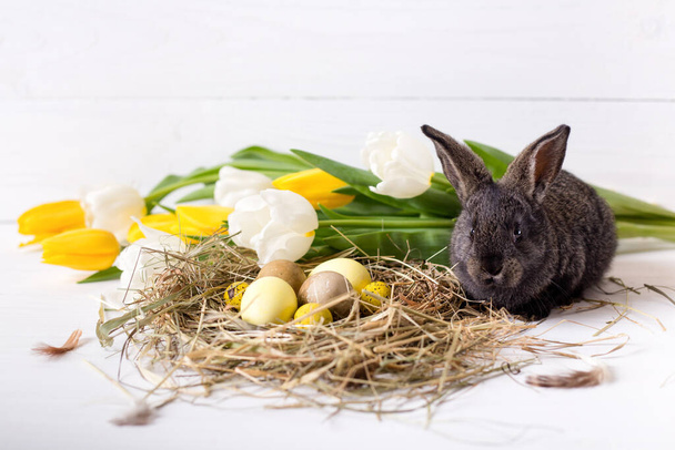 Пасхальний кролик з великодніми яйцями з тюльпанами і гніздом сіна. Позитивна весняна Великодня композиція
. - Фото, зображення