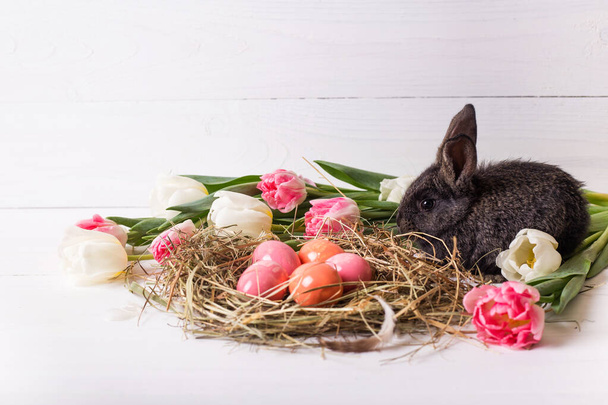 Easter bunny with easter eggs with tulips and a nest of hay. Positive spring easter composition. - Photo, Image