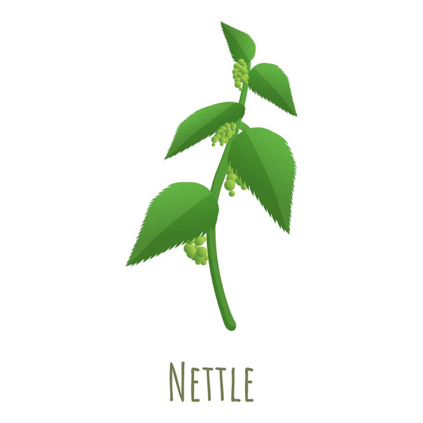 Nettle plant icon, cartoon style - Vector, imagen