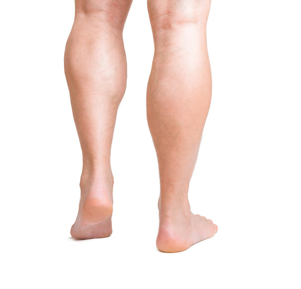 Human Legs - Photo, Image