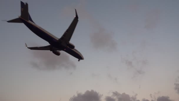 Jet landing at dusk against sky, rear view - Footage, Video