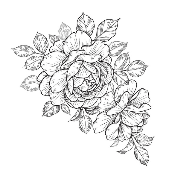 Hand drawn bunch with rose flowers and leaves isolated on white background. Vector line art monochrome elegant floral composition in vintage style, t-shirt, tattoo design, coloring page. - Vecteur, image