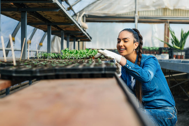 Attractive young woman working in greenhouse. - Foto, afbeelding