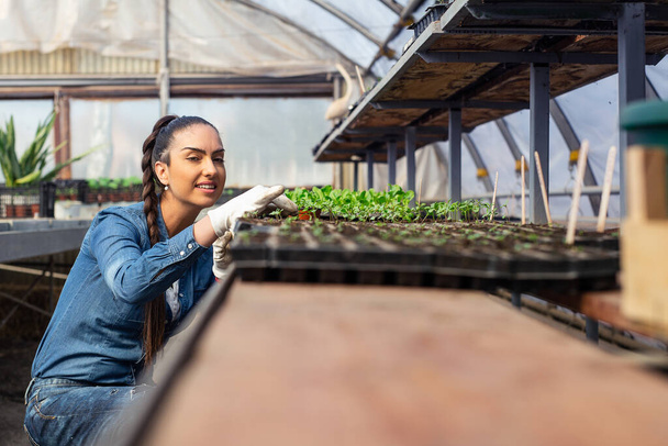 Attractive young woman working in greenhouse. - Foto, afbeelding