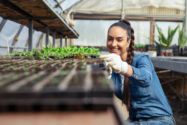 Attractive young woman working in greenhouse. - Photo, image