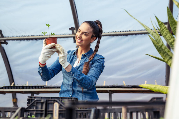 Young woman working in greenhouse and planting seeds. - Foto, afbeelding
