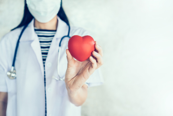 Doktor drží srdce a stetoskop, Zdravotní koncepce. - Fotografie, Obrázek