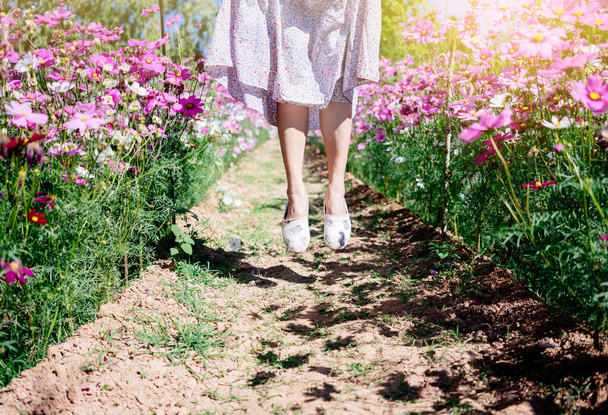 フィールドコスモスの花にジャンプするリラックスした女性の足 - 写真・画像