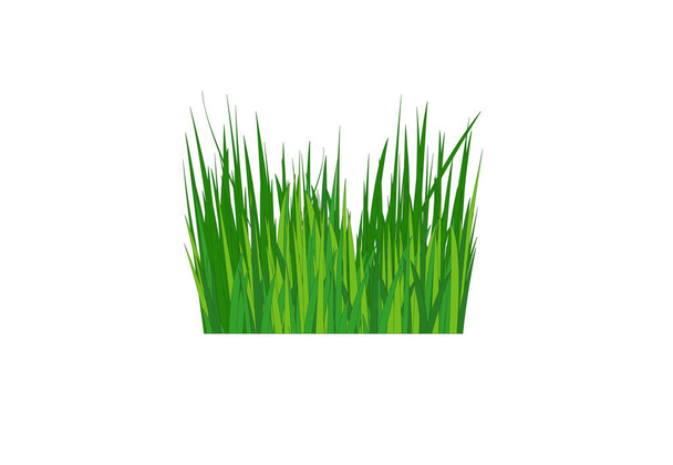 緑の草。ガゾン。ベクトル・アイコン。ウェブ版. - ベクター画像