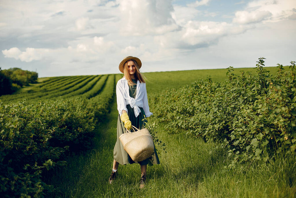 Elegant and stylish girl in a summer field - Фото, изображение