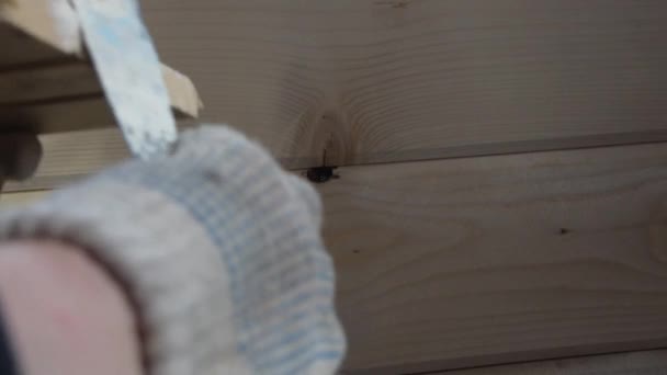 pracownik umieszcza kit na dziurze w drewnianej ścianie - Materiał filmowy, wideo