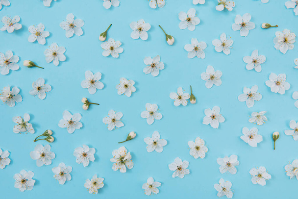 White pastel spring flower petals on blue color background . Cherry blossom petals illustration. Spring and summer background. - Фото, зображення
