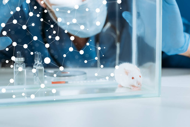 bijgesneden weergave van dierenarts in medisch masker en latex handschoenen aanraken glazen doos met witte muis in de buurt van ampullen en containers met geneesmiddelen - Foto, afbeelding