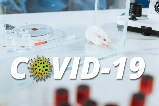 アンプル、注射器、ペトリ皿の近くのガラス箱の中の白いマウスの選択的な焦点、 COVID-19イラスト - 写真・画像