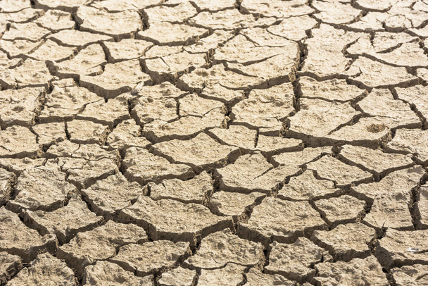Megrepedt a talaj a globális felmelegedés miatt. Részletfelvétel. Textúra. - Fotó, kép