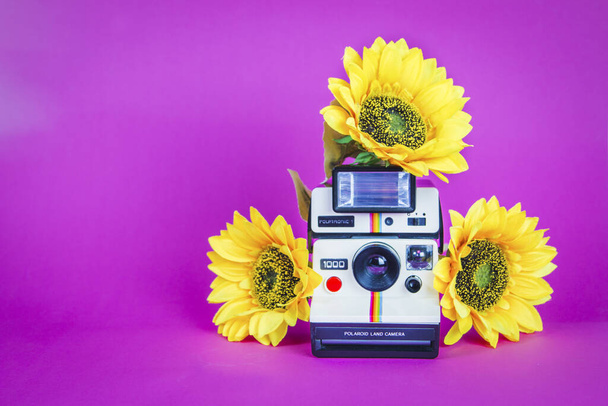 Polaroid photo camera with sunflowers on vibrant pink background - Photo, Image