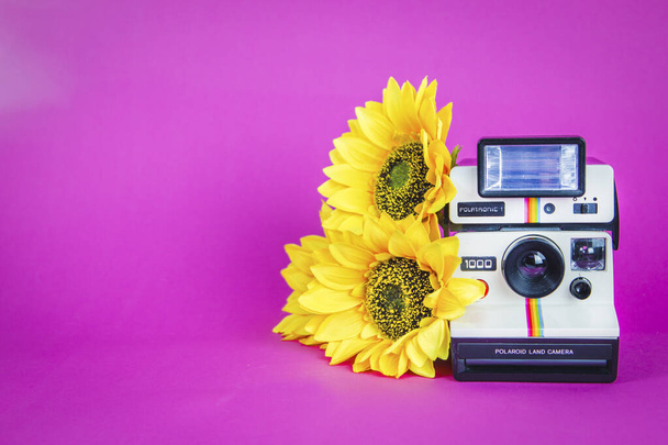 Polaroid photo camera with sunflowers on vibrant pink background - Photo, Image