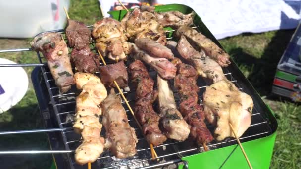 Cocina al aire libre: carne en la parrilla de barbacoa con las brasas
 - Metraje, vídeo