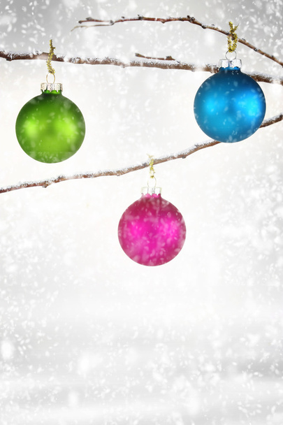 Bolas de Navidad colgando en la rama nevada
 - Foto, Imagen