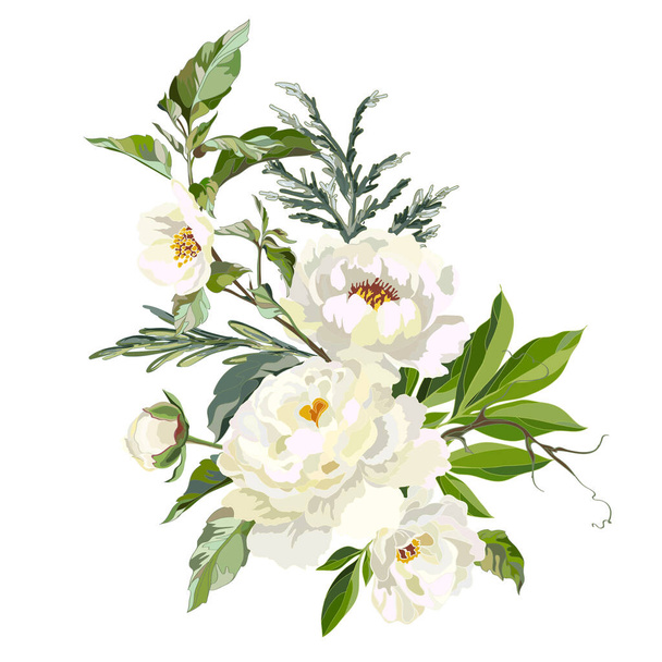 Buquê de peônias brancas com grama em um fundo branco. Modelo de cartão de saudação com flores. Ilustração vetorial
. - Vetor, Imagem