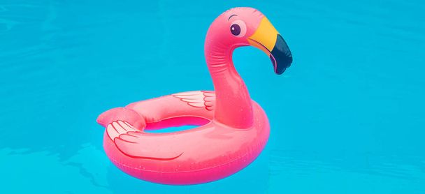 Circle in a flamingo pool. Selective focus. nature. - Fotoğraf, Görsel