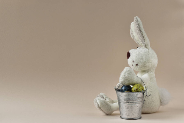 El conejo de Pascua se sienta con un cubo lleno de huevos de Pascua. Conejo se sienta en un beige exterior con un pequeño cubo de huevos de codorniz
 - Foto, imagen
