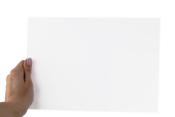meisje handen houden een wit vel van A4-formaat, geïsoleerd - Foto, afbeelding