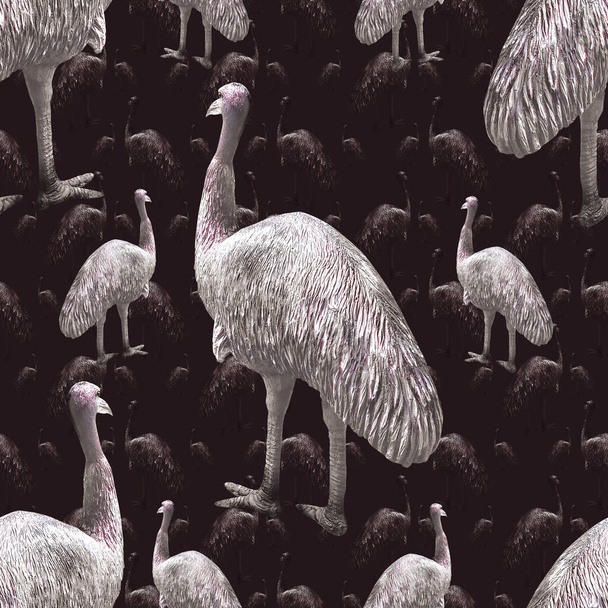 avestruz pájaro sin costura patrón de trabajo
 - Foto, Imagen