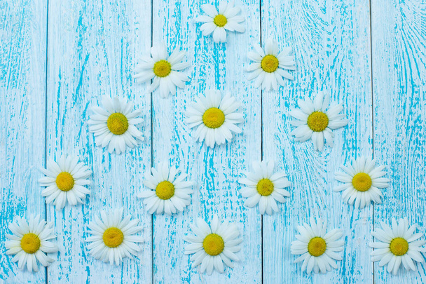 Blue wooden background with bright chamomile flowers. The concept of vacation and summer. copy space. - Photo, Image