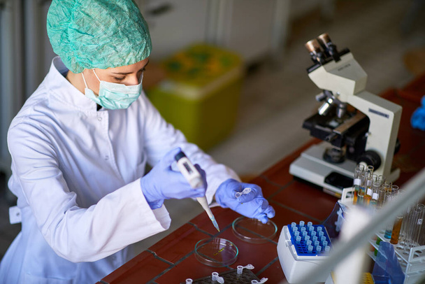 Trabalhadora do laboratório do sexo feminino analisando amostras sobre o vírus Corina
 - Foto, Imagem