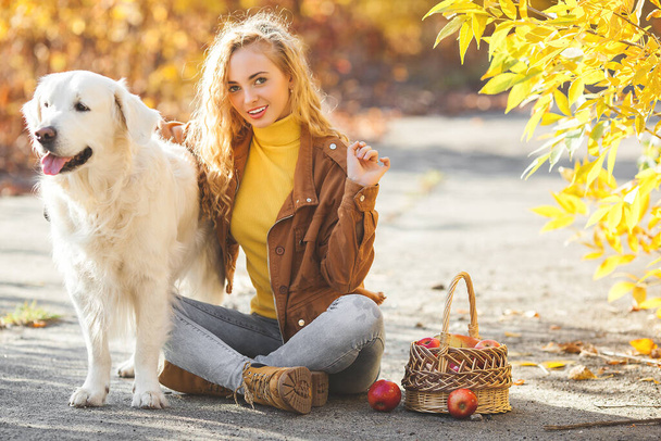 Portret młodej, atrakcyjnej blondynki z psem. Właściciel zwierzęcia. Golden retriever i jego właściciel na jesiennym tle. - Zdjęcie, obraz