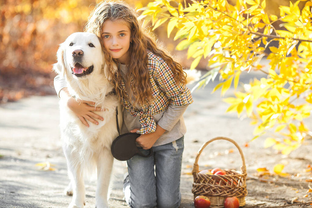 Retrato de jovem menina loira atraente com cão. Dono de animais. Golden retriever e seu proprietário no fundo do outono
. - Foto, Imagem