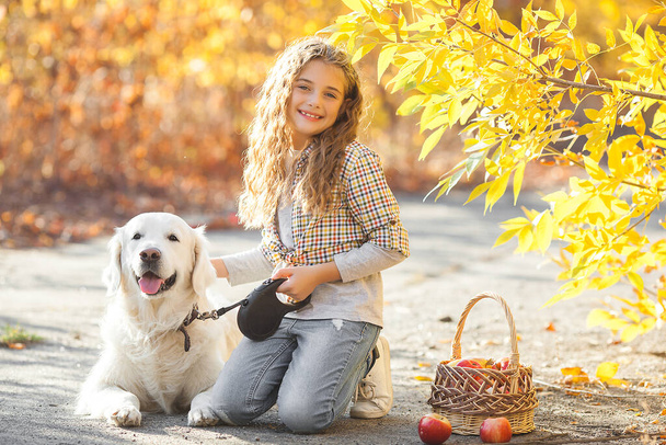Köpekli çekici sarışın kızın portresi. Hayvan sahibi. Golden retriever ve sahibi sonbahar arkaplanındalar. - Fotoğraf, Görsel