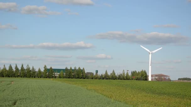 Wind electricity energy - Footage, Video