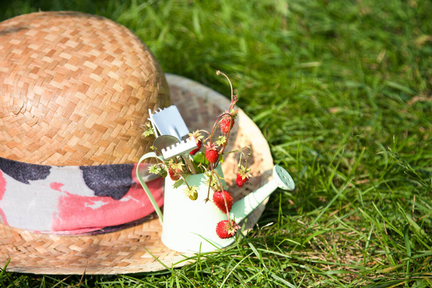 Watering can, wild strawberry, straw hat and tools on green grass. Summer gardening. First harvest. gift of forest - Фото, зображення