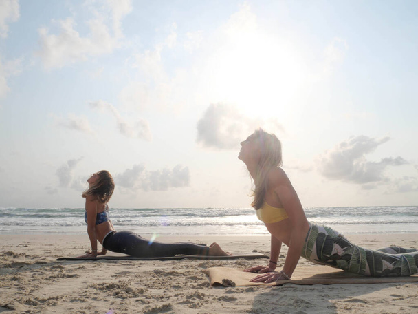 Δύο γυναίκες πρακτική προς τα πάνω αντιμετωπίζει γιόγκα σκυλιών ποζάρουν στην παραλία στο φως του ήλιου - Φωτογραφία, εικόνα