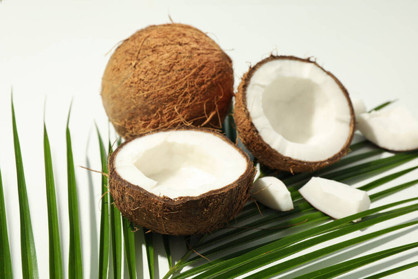 Coconut and palm branch on white background, close up - Valokuva, kuva