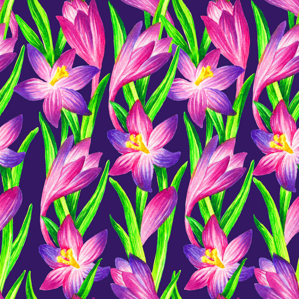 Pink crocus seamless pattern, hand painted vintage watercolor illustration. - Photo, image