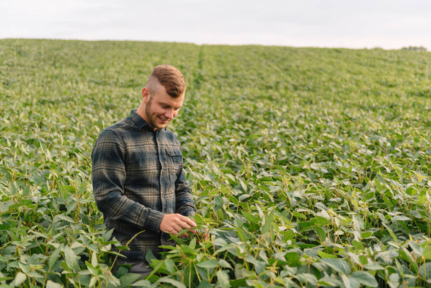 Portrait of young farmer standing in soybean field. - Φωτογραφία, εικόνα