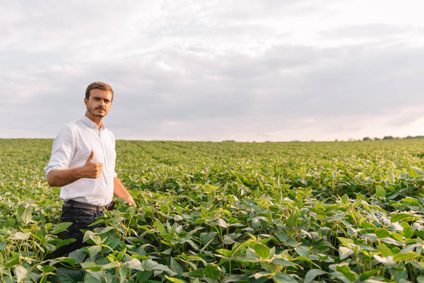 Portrait of young farmer standing in soybean field. - Fotó, kép