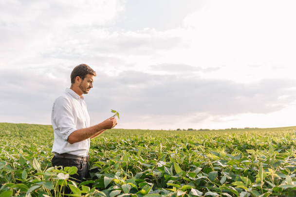 Portrait of young farmer standing in soybean field. - Фото, изображение