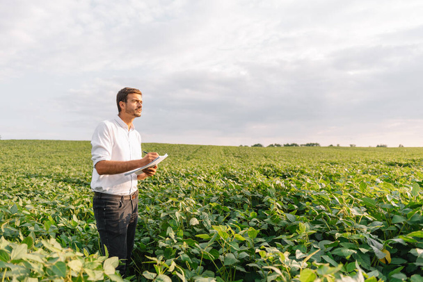 Agronomist inspecting soya bean crops growing in the farm field. Agriculture production concept. young agronomist examines soybean crop on field in summer. Farmer on soybean field - Φωτογραφία, εικόνα