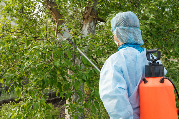 防護服を着た女性とマスクは、春の果樹園で圧力噴霧器と化学物質で真菌病やバーミンからリンゴの木を噴霧しています。バックビュー. - 写真・画像