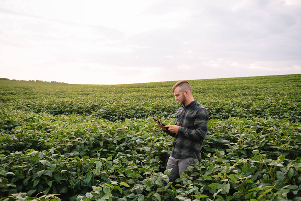 Young agronomist holds tablet touch pad computer in the soy field and examining crops before harvesting. Agribusiness concept. agricultural engineer standing in a soy field with a tablet in summer - Φωτογραφία, εικόνα