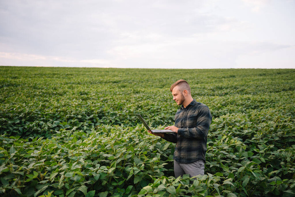 Agronomist inspecting soya bean crops growing in the farm field. Agriculture production concept. young agronomist examines soybean crop on field in summer. Farmer on soybean field - 写真・画像